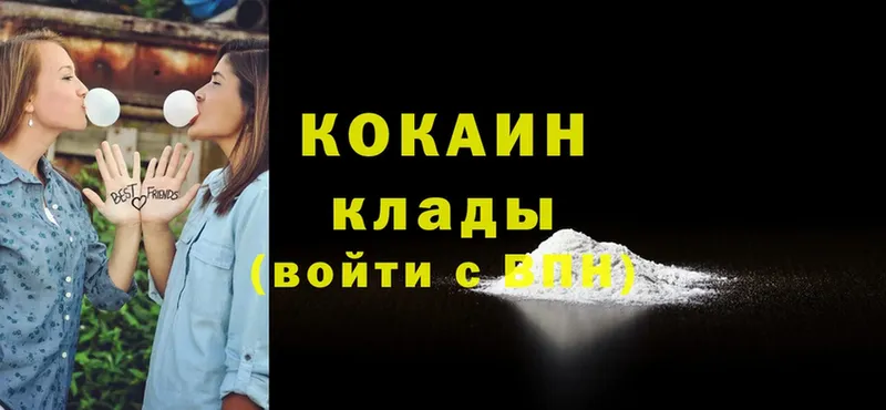 Cocaine FishScale  блэк спрут сайт  Новоалександровск 